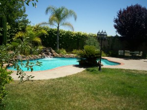 pool grass and patio set