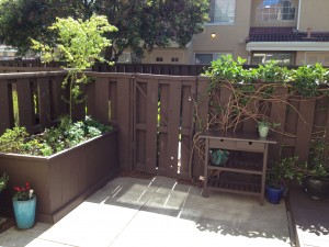 patio area